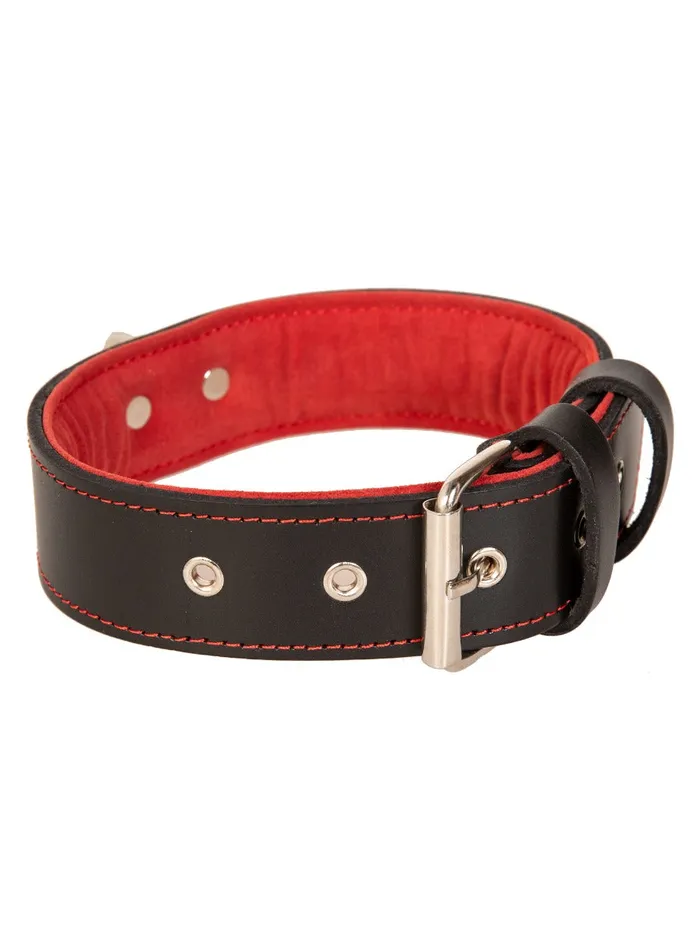 Restraints HonourSkintwocom Red Trim Black Leather Collar With D Ring Restraints HonourSkintwocom Red Trim Black Leather Collar With D Ring